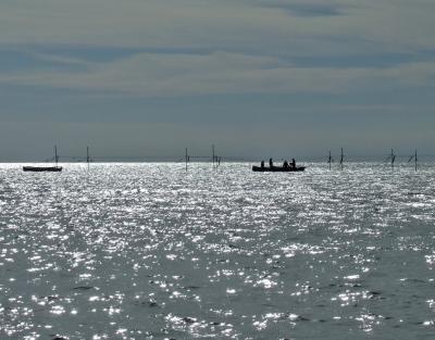 Прикрепленное изображение: DSCF6164a.jpg